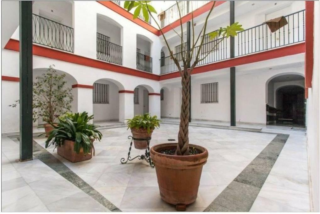 Appartement Atico Duplex *